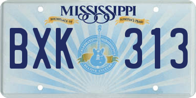 MS license plate BXK313