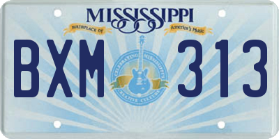 MS license plate BXM313