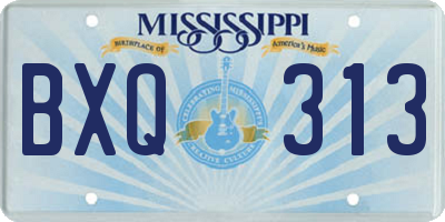MS license plate BXQ313