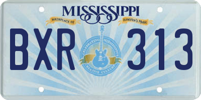 MS license plate BXR313