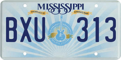 MS license plate BXU313