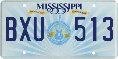 MS license plate BXU513