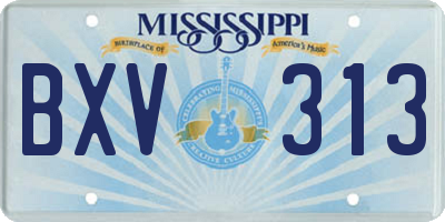 MS license plate BXV313