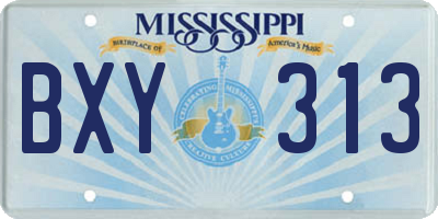 MS license plate BXY313