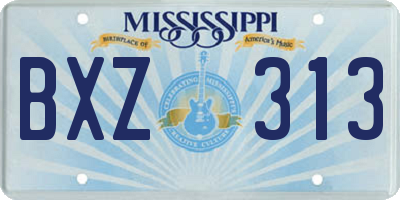 MS license plate BXZ313