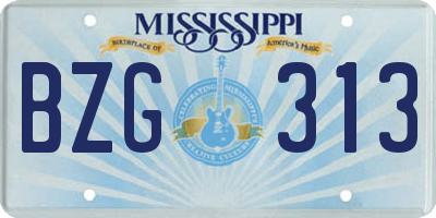 MS license plate BZG313