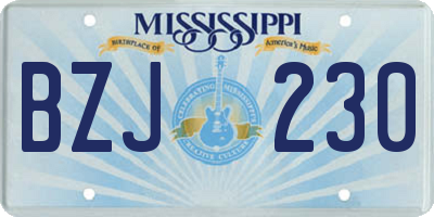 MS license plate BZJ230