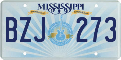 MS license plate BZJ273