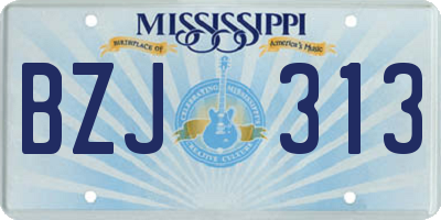 MS license plate BZJ313