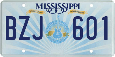 MS license plate BZJ601