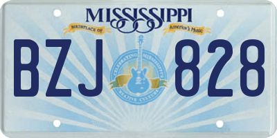 MS license plate BZJ828