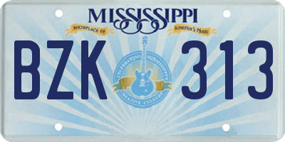 MS license plate BZK313