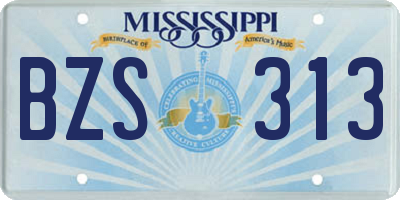 MS license plate BZS313