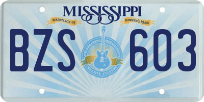 MS license plate BZS603