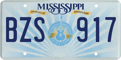 MS license plate BZS917