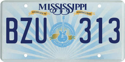 MS license plate BZU313