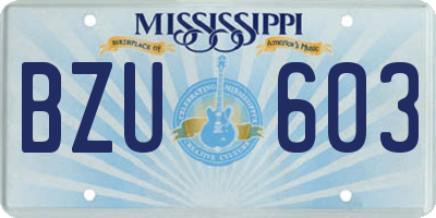 MS license plate BZU603