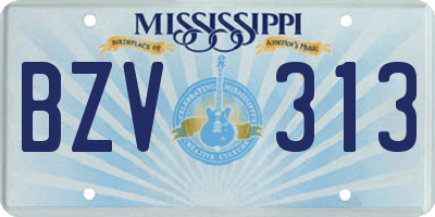 MS license plate BZV313