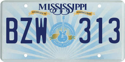MS license plate BZW313