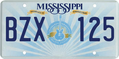 MS license plate BZX125