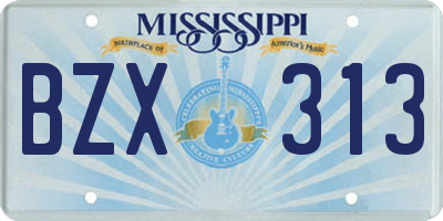 MS license plate BZX313