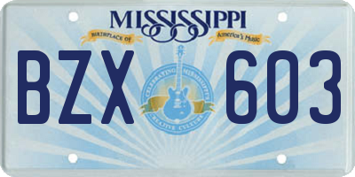 MS license plate BZX603