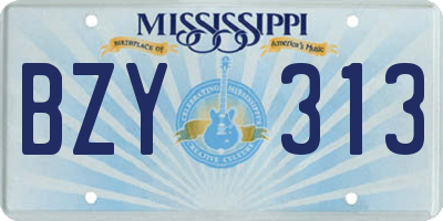 MS license plate BZY313