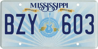 MS license plate BZY603
