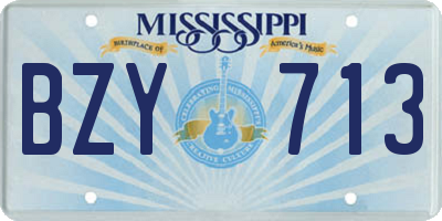 MS license plate BZY713