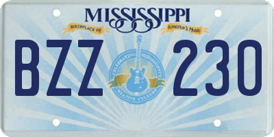 MS license plate BZZ230
