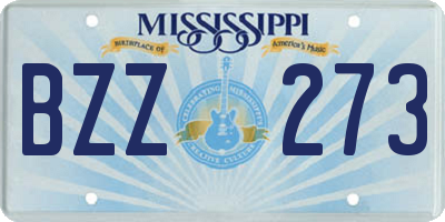 MS license plate BZZ273