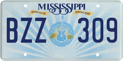 MS license plate BZZ309