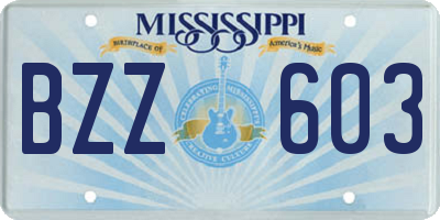 MS license plate BZZ603