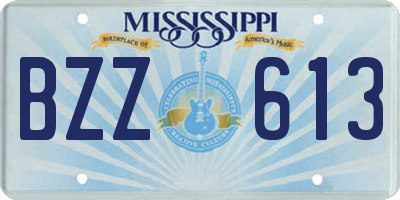 MS license plate BZZ613