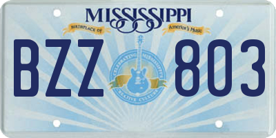 MS license plate BZZ803