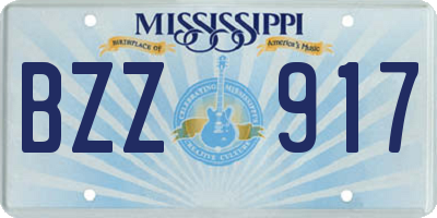 MS license plate BZZ917