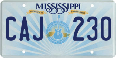 MS license plate CAJ230