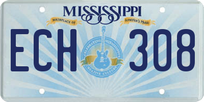 MS license plate ECH308