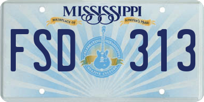 MS license plate FSD313