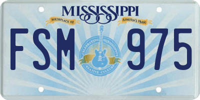 MS license plate FSM975