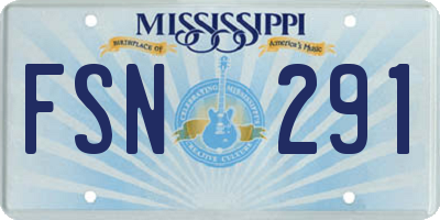 MS license plate FSN291