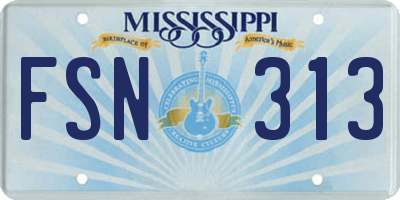 MS license plate FSN313