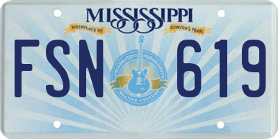 MS license plate FSN619