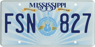 MS license plate FSN827