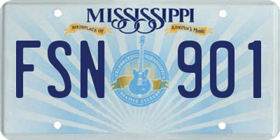 MS license plate FSN901