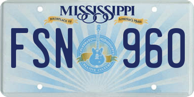 MS license plate FSN960