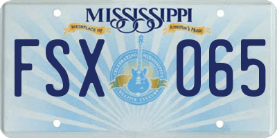 MS license plate FSX065
