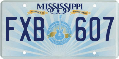 MS license plate FXB607