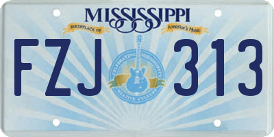 MS license plate FZJ313