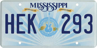 MS license plate HEK293